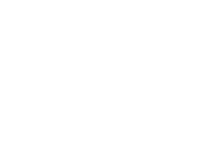 VL Study Abroad Consultants